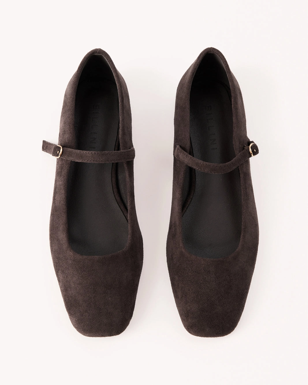 FION - DARK CACAO SUEDE