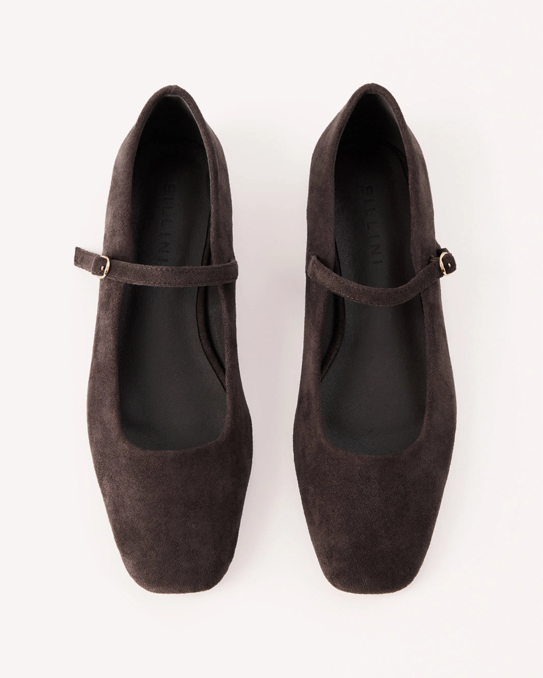 FION - DARK CACAO SUEDE