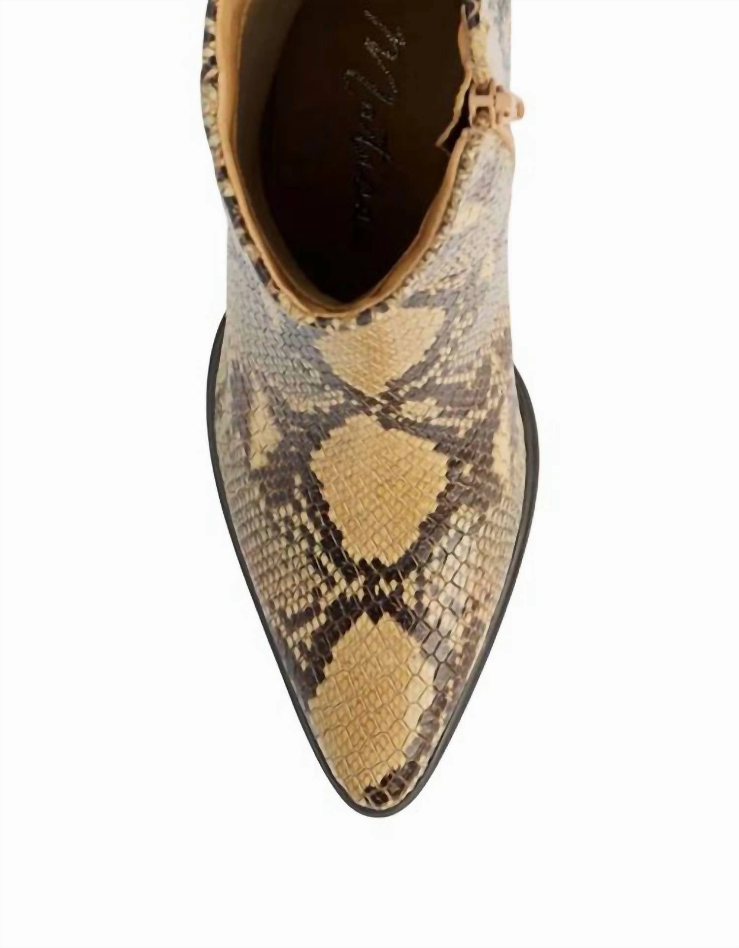 Gabbie Snake Boots In Tan Snake