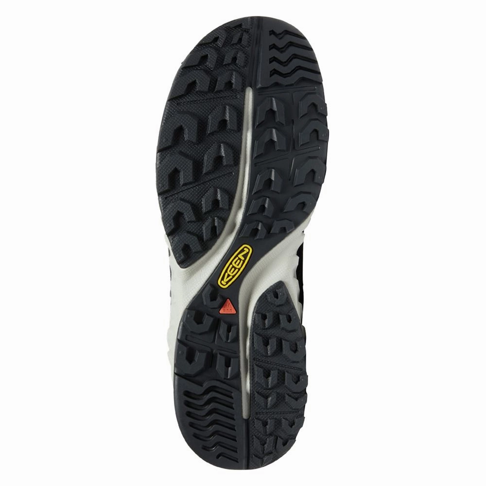 KEEN 1026108 NXIS Evo Mid Waterproof Hiking Boots for Men - Magnet/Bright Cobalt - 11M