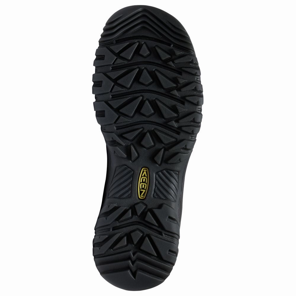 KEEN 1029002 Targhee IV Mid Waterproof Hiking Boots for Men - Bison/Black - 11W