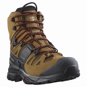 Salomon L47156407 Men's Quest 4D Mid GTX 4 Hiking Boots, 10.5M Rubber/Black