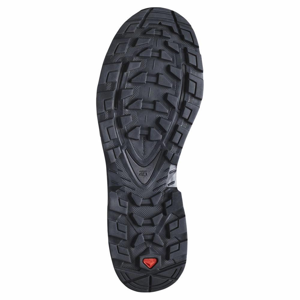 Salomon L47156407 Men's Quest 4D Mid GTX 4 Hiking Boots, 10.5M Rubber/Black