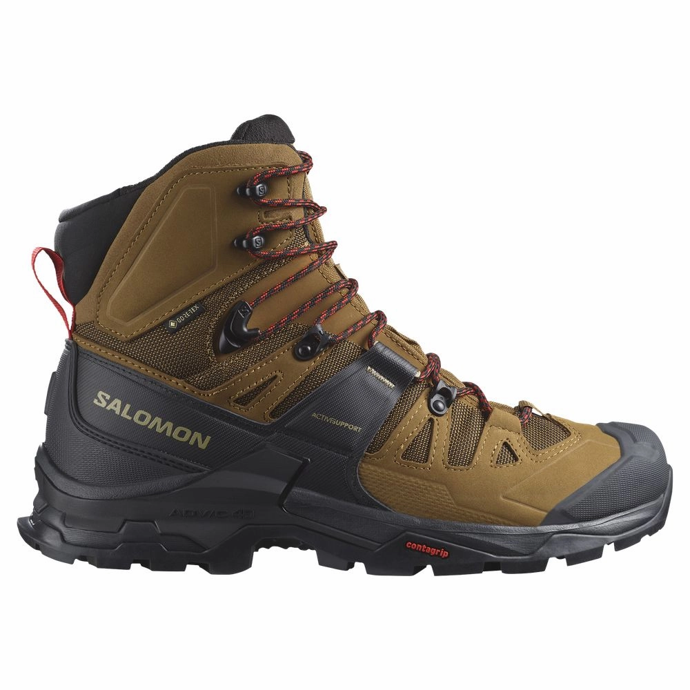 Salomon L47156407 Men's Quest 4D Mid GTX 4 Hiking Boots, 10.5M Rubber/Black