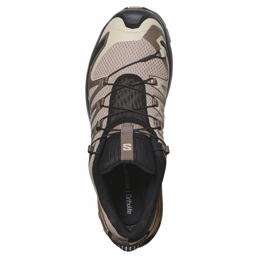 Salomon XA Pro 3D V9 Hiking Shoes for Men - Natural/Black/Sugar Almond - 11M