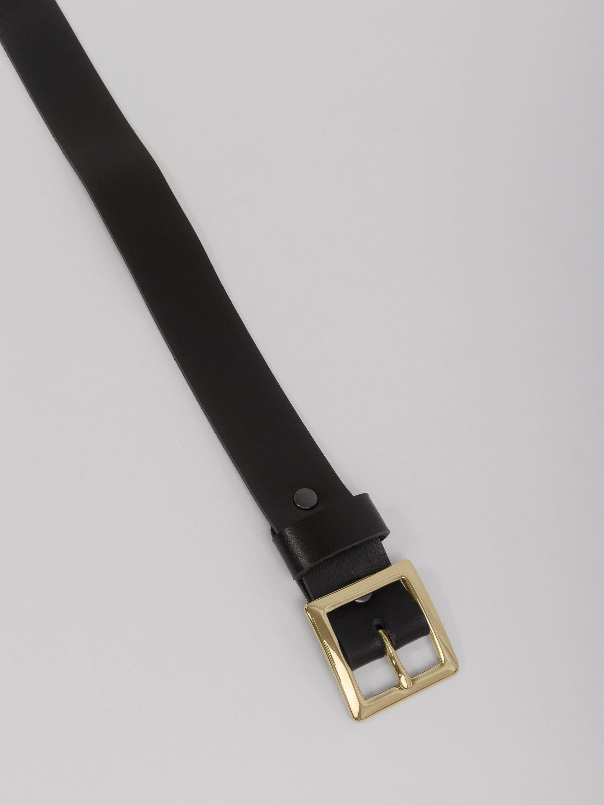 The Lair Daisy Mini Belt Brass