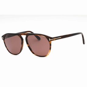 Tom Ford Men's Sunglasses - Havana/Other Plastic Full Rim Frame | FT0835 56E